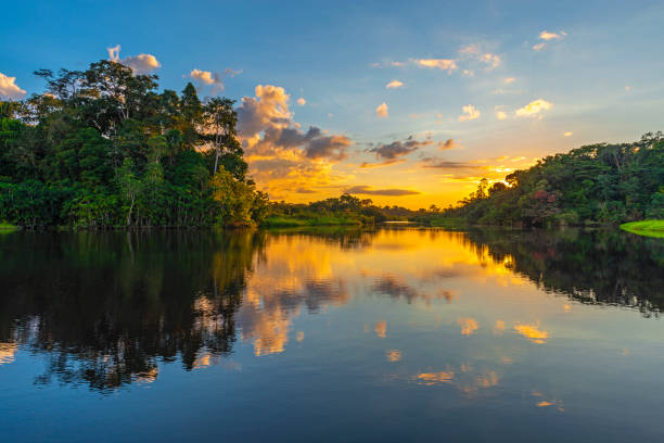 “Suriname’s Betovering: Ontdekkingen in Paramaribo en de Overweldigende Natuur”